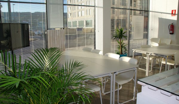 Sunlit modern office with white desks, chairs, potted plants, large windows, and a TV.