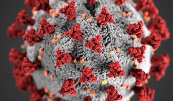 Close-up illustration of a gray coronavirus particle with red spike proteins and small yellow spots.