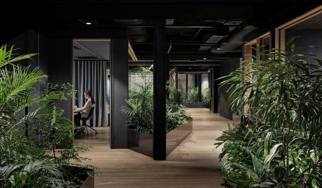 Modern office with lush indoor plants, wooden flooring, and a person working in a glass-enclosed workspace.