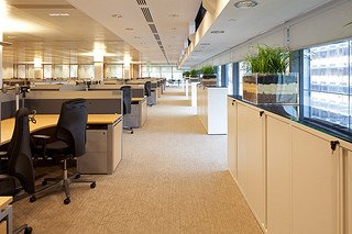 Spacious office with rows of desks and chairs, natural light from large windows, and plants on cabinets.