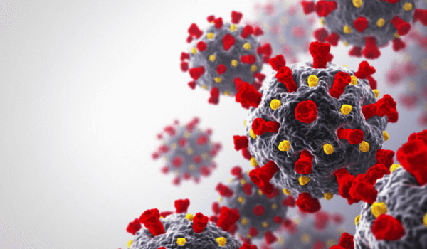 Close-up rendering of the COVID-19 virus, showing spiky proteins on the surface, with a light gray background.